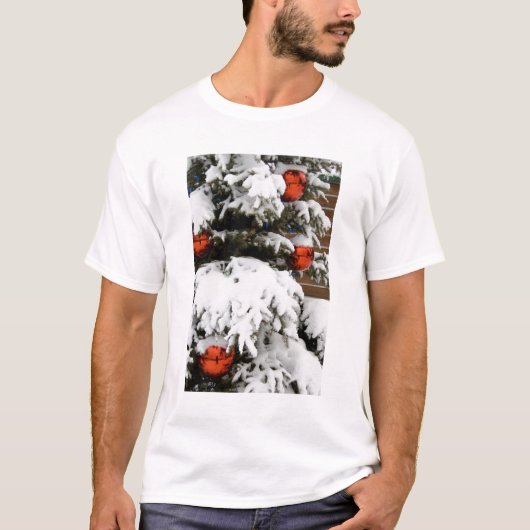 Kanada, Alberta, Jasper, Jasper NP. Fairmont 2 T-Shirt (Vorderseite)