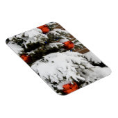 Kanada, Alberta, Jasper, Jasper NP. Fairmont Magnet (Rechte Seite)