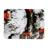 Kanada, Alberta, Jasper, Jasper NP. Fairmont Magnet (Horizontal)