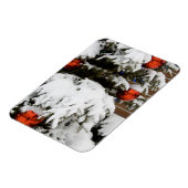 Kanada, Alberta, Jasper, Jasper NP. Fairmont Magnet (Linke Seite)