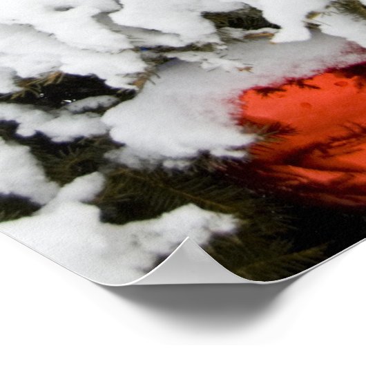 Kanada, Alberta, Jasper, Jasper NP. Fairmont Poster (Ecke)