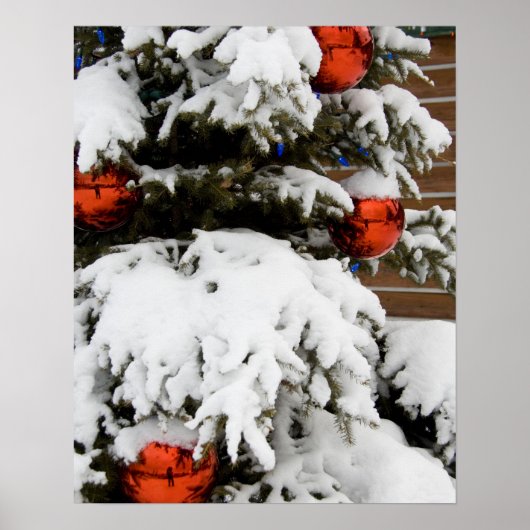 Kanada, Alberta, Jasper, Jasper NP. Fairmont Poster (Vorne)