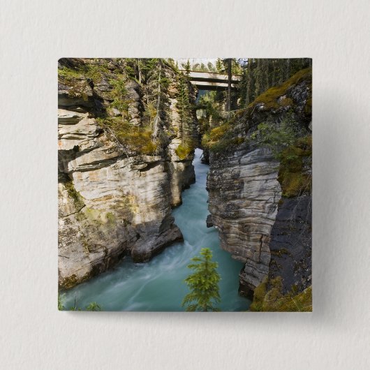 Kanada, Alberta, Jasper National Park, Athabasca 2 Button (Vorderseite)