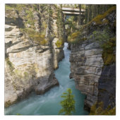 Kanada, Alberta, Jasper National Park, Athabasca 2 Fliese (Vorderseite)