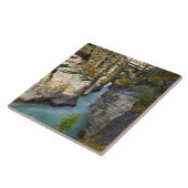 Kanada, Alberta, Jasper National Park, Athabasca 2 Fliese (Seite)