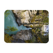 Kanada, Alberta, Jasper National Park, Athabasca 2 Magnet (Horizontal)