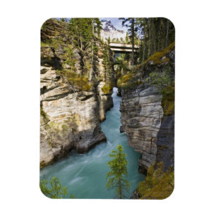 Kanada, Alberta, Jasper National Park, Athabasca 2 Magnet