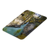 Kanada, Alberta, Jasper National Park, Athabasca 2 Magnet (Linke Seite)