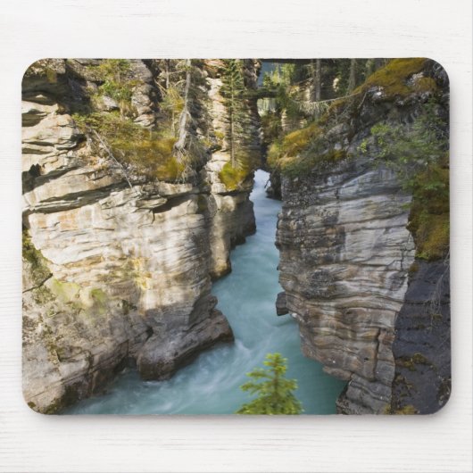 Kanada, Alberta, Jasper National Park, Athabasca 2 Mousepad (Vorne)