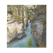 Kanada, Alberta, Jasper National Park, Athabasca 2 Notizblock (Vorderseite)