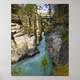 Kanada, Alberta, Jasper National Park, Athabasca 2 Poster