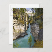 Kanada, Alberta, Jasper National Park, Athabasca 2 Postkarte (Vorne/Hinten)