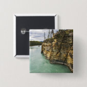 Kanada, Alberta, Jasper National Park, Athabasca Button (Vorne & Hinten)