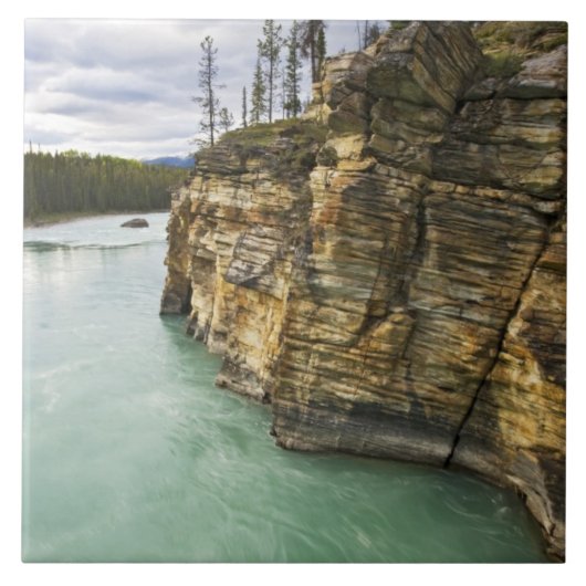 Kanada, Alberta, Jasper National Park, Athabasca Fliese (Vorderseite)
