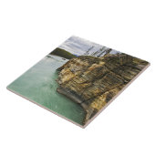 Kanada, Alberta, Jasper National Park, Athabasca Fliese (Seite)