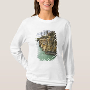 Kanada, Alberta, Jasper National Park, Athabasca T-Shirt
