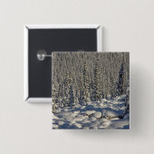 Kanada, Alberta, Jasper National Park. Button (Vorne & Hinten)