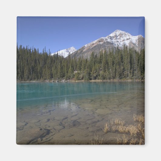 Kanada, Alberta, Jasper National Park: JASPER, Magnet (Vorne)