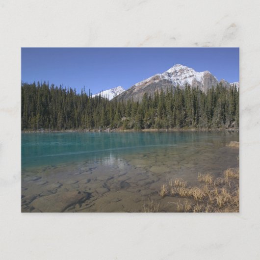 Kanada, Alberta, Jasper National Park: JASPER, Postkarte (Vorderseite)