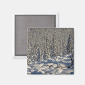 Kanada, Alberta, Jasper National Park. Magnet (Vorderseite/Rückseite)