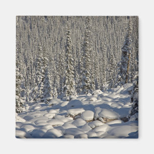 Kanada, Alberta, Jasper National Park. Magnet