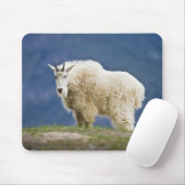 Kanada, Alberta, Jasper National Park, Mousepad (Mit Mouse)