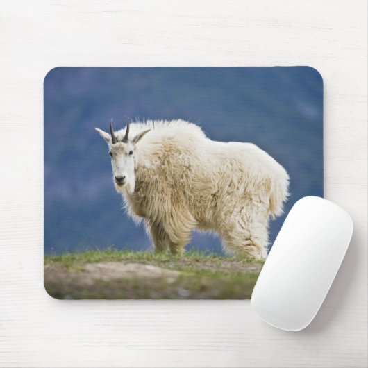Kanada, Alberta, Jasper National Park, Mousepad (Mit Mouse)