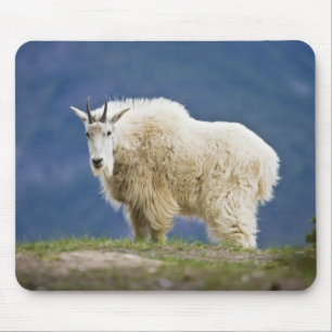 Kanada, Alberta, Jasper National Park, Mousepad