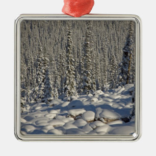 Kanada, Alberta, Jasper National Park. Ornament Aus Metall