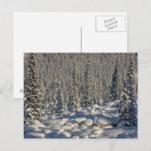Kanada, Alberta, Jasper National Park. Postkarte (Vorne/Hinten)