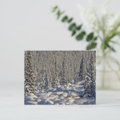 Kanada, Alberta, Jasper National Park. Postkarte (Stehend Vorderseite)