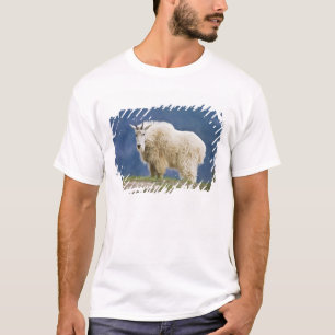 Kanada, Alberta, Jasper National Park, T-Shirt