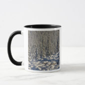 Kanada, Alberta, Jasper National Park. Tasse (Links)