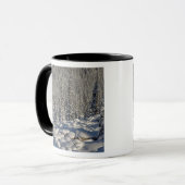 Kanada, Alberta, Jasper National Park. Tasse (Vorderseite Links)