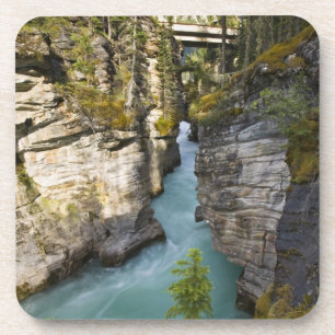 Kanada, Alberta, Jasper-Nationalpark, Athabasca 2 Getränkeuntersetzer