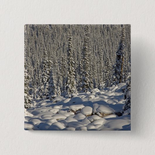 Kanada, Alberta, Jasper-Nationalpark. Button (Vorderseite)