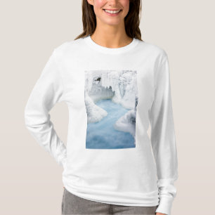 Kanada, Alberta, Jasper-Nationalpark. Die T-Shirt