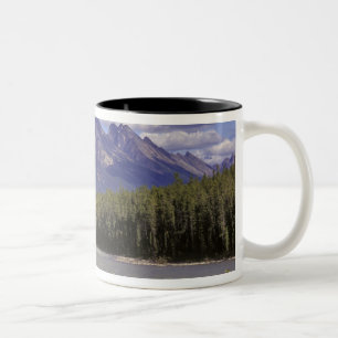 Kanada, Alberta, Jasper-Nationalpark. Groß Zweifarbige Tasse