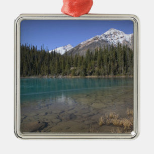 Kanada, Alberta, Jasper-Nationalpark: JASPER, Silbernes Ornament