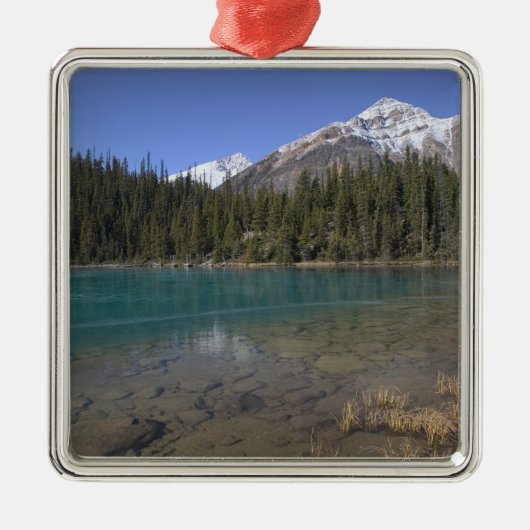 Kanada, Alberta, Jasper-Nationalpark: JASPER Silbernes Ornament (Vorne)