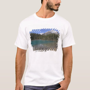 Kanada, Alberta, Jasper-Nationalpark: JASPER, T-Shirt