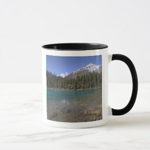 Kanada, Alberta, Jasper-Nationalpark: JASPER, Tasse