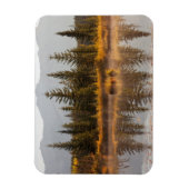 Kanada, Alberta, Jasper-Nationalpark Magnet (Vertikal)