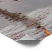 Kanada, Alberta, Jasper-Nationalpark Poster (Ecke)