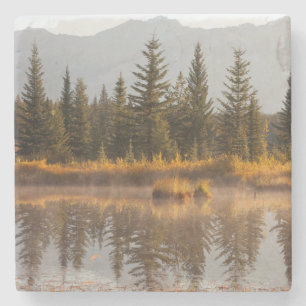 Kanada, Alberta, Jasper-Nationalpark Steinuntersetzer