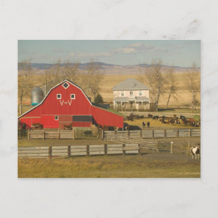 Kanada, Alberta, Pincher Creek: Red Barn & Ranch Postkarte