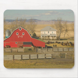 Kanada, Alberta, Pincher Creek: Rotbarsch und Ranc Mousepad