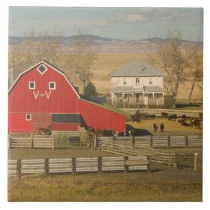 Kanada, Alberta, Pincher Creek: Rote Scheune und R Fliese