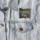 Kanada, Alberta, Rocky Mountains, Banff National Button (Beispiel)