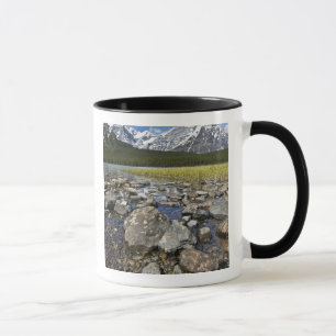 Kanada, Alberta, Rocky Mountains, Banff National Tasse